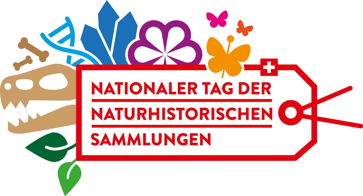Logo_NTdnS