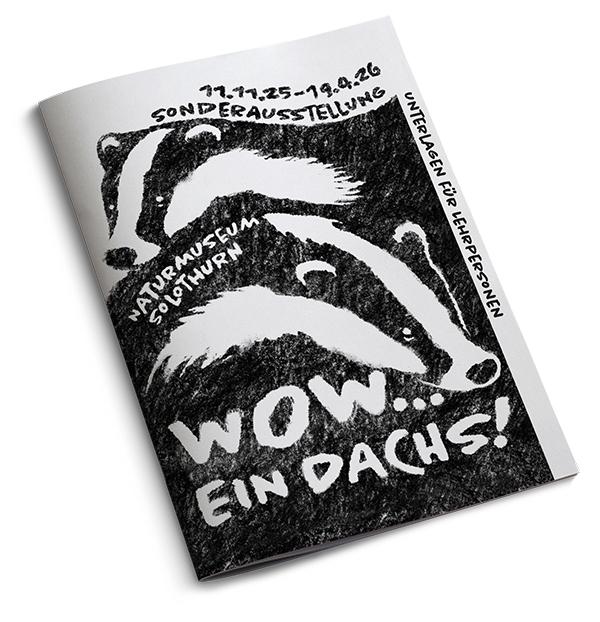 Dachs_NMSO_Heft_Cover