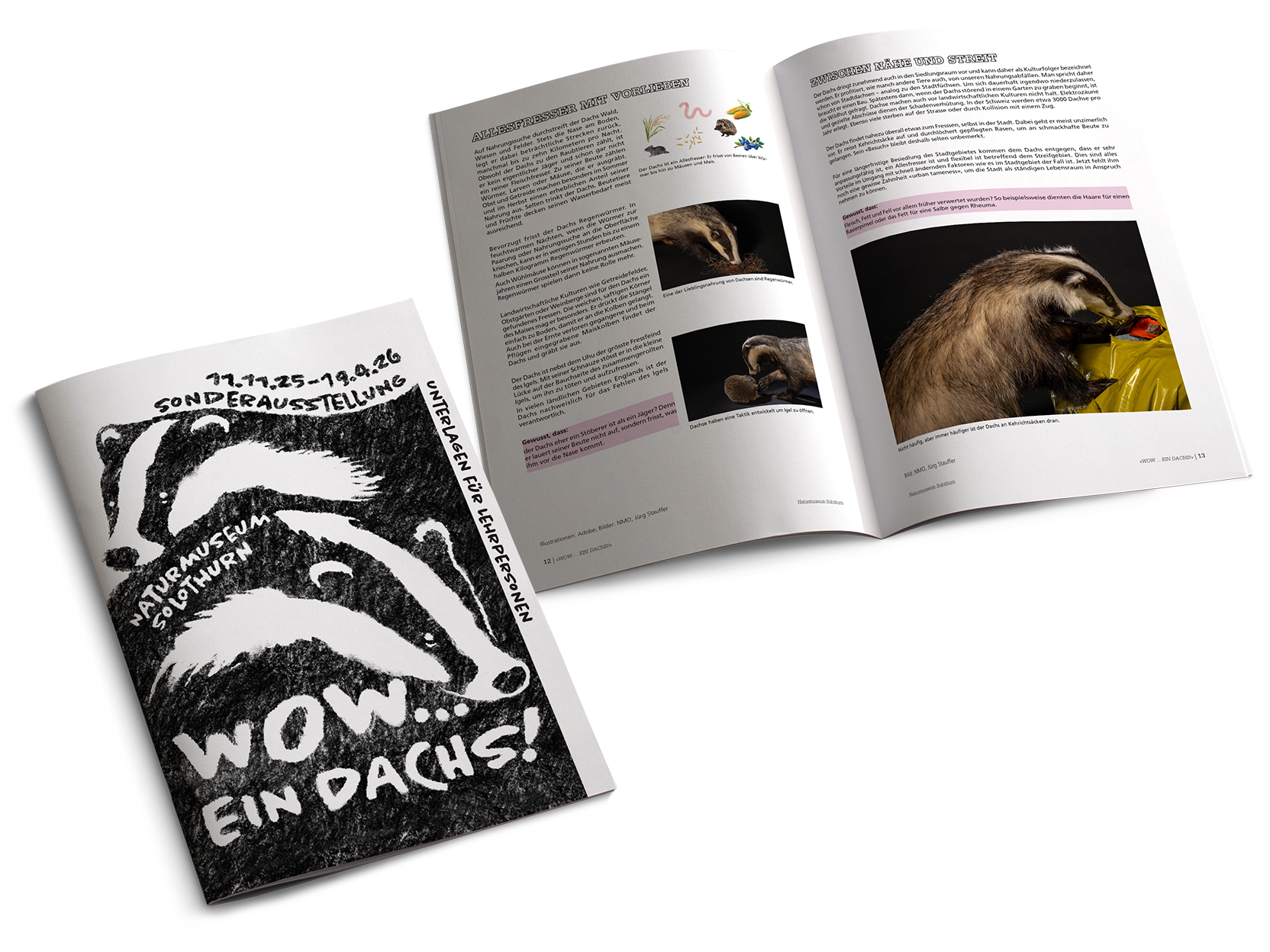 Dachs_NMSO_MockupHeft