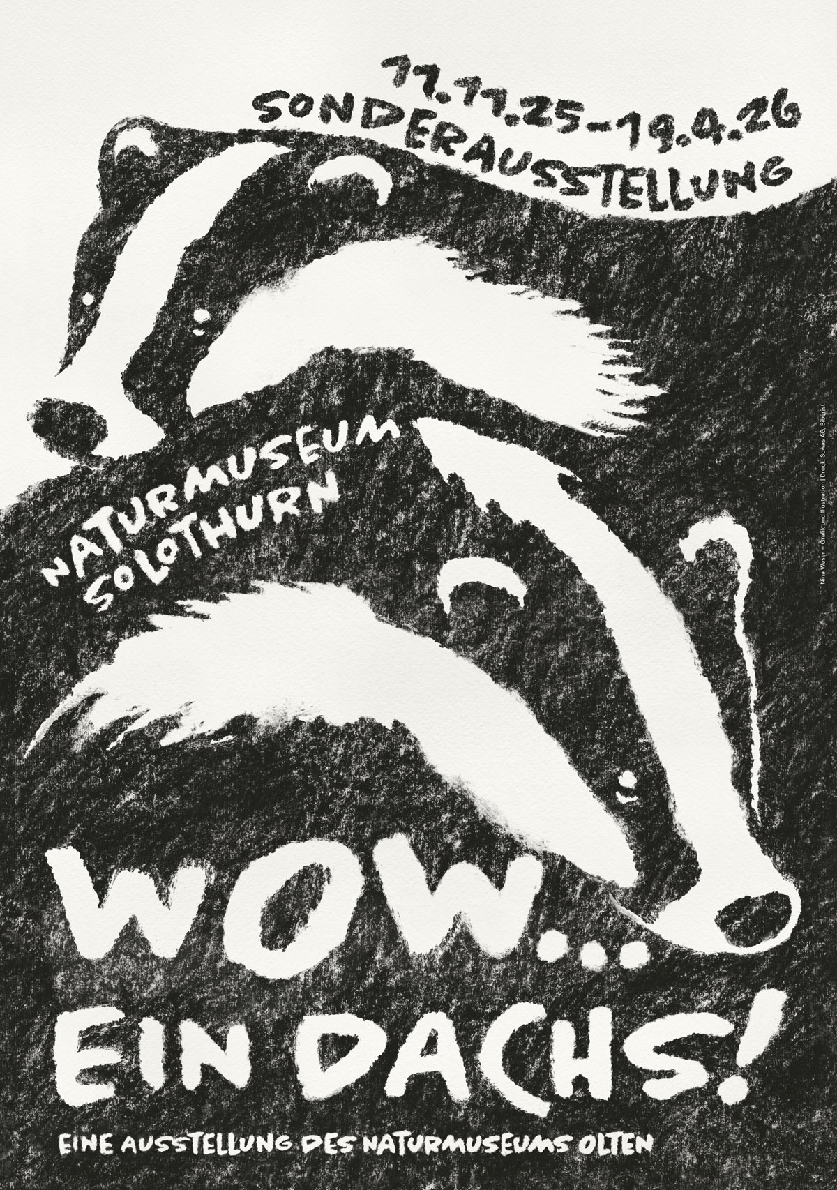 Plakat-Dachs_1_NMS-Nina-Waser_web