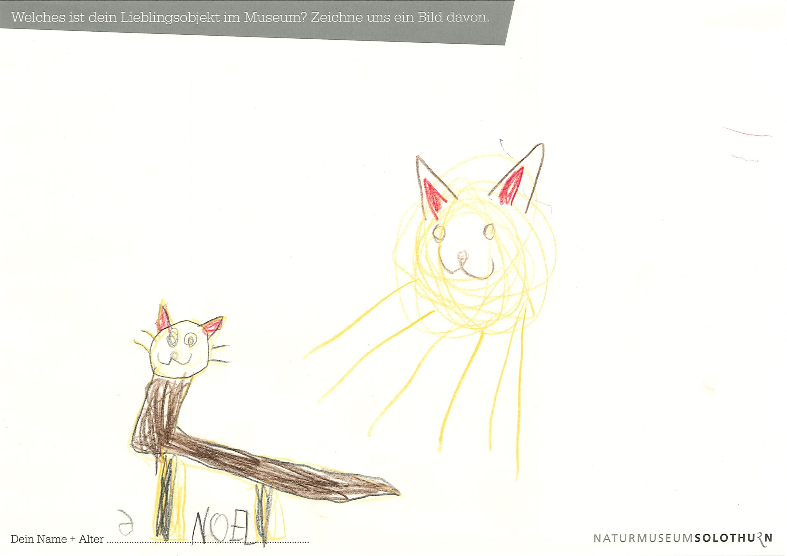 20260113142927603_0003