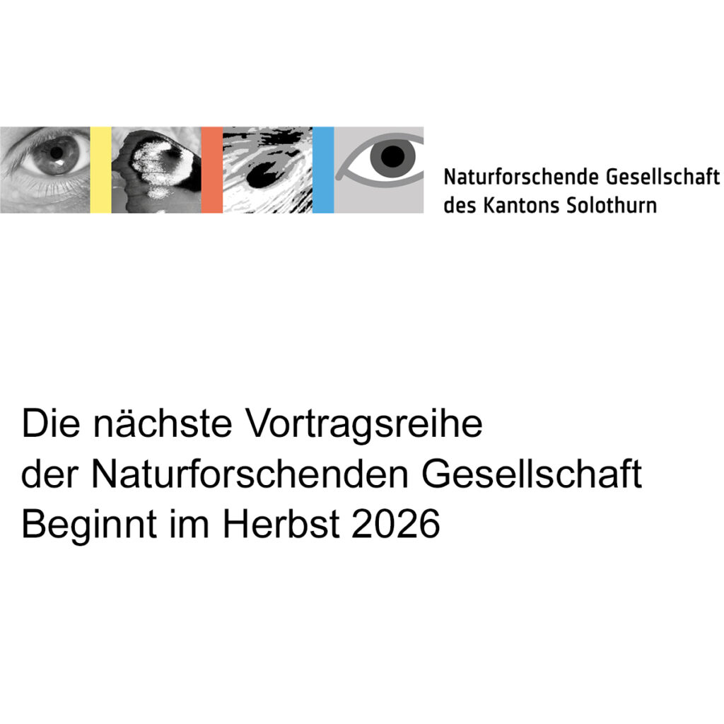 Stellvertreterbild_Vortragsreihe_NGSO_1200x1200