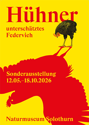 2026_SAhuhn
