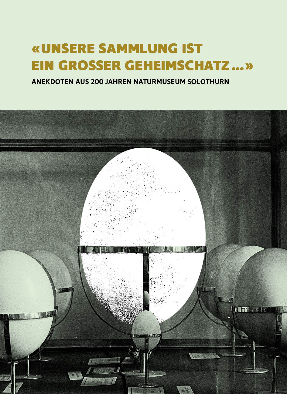 Cover_Unsere-Sammlung-ist-ein-grosser-Geheimschatz
